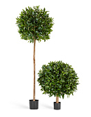 Товар Лавр круглый д-50 см в-60 см 2/2 добавлен в корзину