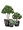 Кашпо TREEZ Effectory Wow Конус-Чаша Стальное серебро с рельефом в-28 см, д-30 см 2880286