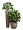 Кашпо TREEZ Effectory Wow Высокий конус Design Капучино в-75 см, д-34 см 1/1 2880332