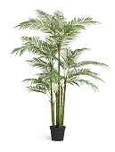 Товар Пальма Бабмбуковая 215 см (26 веток, 6 стволов) 1/1 добавлен в корзину