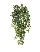 Товар Английский плющ Новый (262 листа) в-70 см 6/48 добавлен в корзину