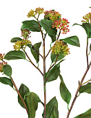 Товар Ветвь Калликарпы зелёно-бордовая в-63 см 12/48 добавлен в корзину