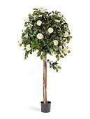 Товар Камелия на штамбе кремовая 130 см 2/2 добавлен в корзину