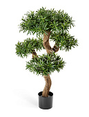 Товар Подокарпус горный Элит в-110 см 2/2 добавлен в корзину