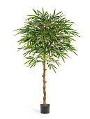 Товар Бамбук Новый зонтичный 180 см 2/2 добавлен в корзину