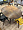 Cтол раздвижной Стокгольм круглый 110-140 см массив дуба тон американский орех нью для кафе, рестора 2137383