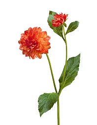 Георгин оранжевый в-48 см, д-8 см 1цв 1бут 12/144