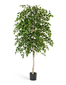 Товар Берёза натуральная 140 см 2/2 добавлен в корзину