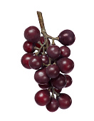 Товар Виноград чёрный гроздь малая в-15 см 8/192 добавлен в корзину