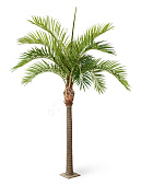 Товар Гигантская Финиковая пальма 4,2 м (сборная) добавлен в корзину