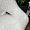 Белладжио вращающийся белый экомех ножки черные для кафе, ресторана, дома, кухни 2152502