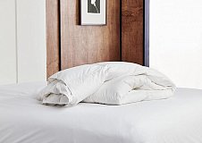 Plapuma trois couronnes regina light