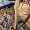 Cтол раздвижной Стокгольм круглый 110-140 см массив дуба тон натуральный для кафе, ресторана, дома,  2129478
