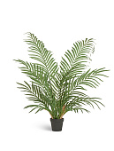 Товар Пальма Арека Форест 90 см (12 веток) 2/2 добавлен в корзину