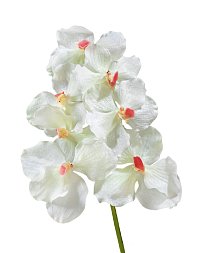 Орхидея Ванда белая с роз. сердцевинкой в-36 см 7 цв 12/48
