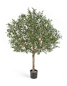 Товар ЗЗЗОлива натур. топиари с плодами 170 см (сборная) 2/2 добавлен в корзину