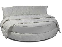 Pat rotund Alfabed Club