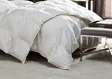 Plapuma trois couronnes regina warm