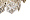 Люстра потолочная TENDER, латунь d.51см h.61см 91GH-1009-8 1347337