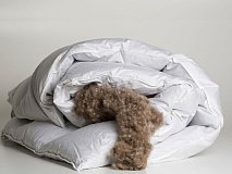 Plapuma trois couronnes royal eiderdown