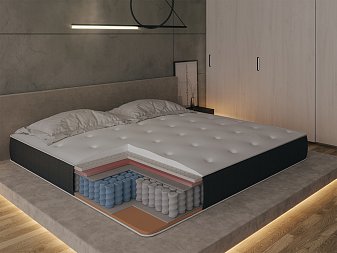 Saltea symbio beauty firm