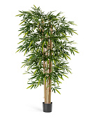 Товар Бамбук Новый гигантский 150 см 2/2 добавлен в корзину