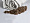 Plapuma trois couronnes royal eiderdown 3741593