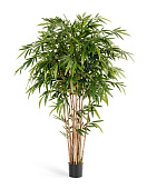 Товар Бамбук Новый натуральный 150 см 2/2 добавлен в корзину