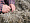 Pernă trois couronnes saint eider down 3740989