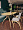 Cтол Анси круглый 110 см массив дуба, тон натуральный для кафе, ресторана, дома, кухни 2129379