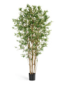 Товар Бамбук Японский ориенталь в-90 см 2/8 добавлен в корзину