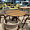 Cтол Лейпциг 110 см массив дуба, тон терра для кафе, ресторана, дома, кухни 2100249
