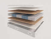 Товар Saltea evita rose plus добавлен в корзину