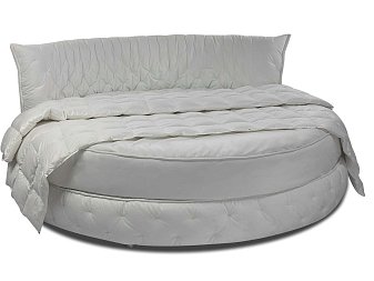 Pat rotund Alfabed Club