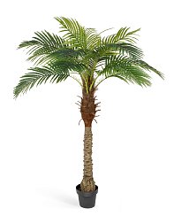 Финиковая пальма Новая в-190 см 19 веток (Sensitive Botanic) 2/2