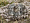 Pernă trois couronnes saint eider down 3575239