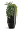 Кашпо TREEZ Effectory Crystal Высокий многогранник Антрацит в-97, д-41х36 1/1 2945889