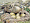 Pernă trois couronnes saint eider down 3740986