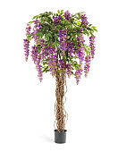 Товар Вистерия лиана сиреневая 180 см 2/2 добавлен в корзину