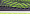 Topper reflex cation 3714275