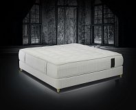 Saltea trois couronnes sovereign yearling