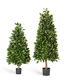 Товар Лавр пирамида люкс 110 см 2/2 добавлен в корзину