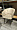 Гарда бежевый бархат ножки черные для кафе, ресторана, дома, кухни 1886930