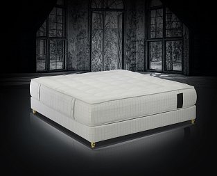 Saltea trois couronnes sovereign yearling