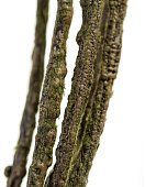 Товар Ветки лозы декоративные (связка 6 шт.) д-125 см 12/144 добавлен в корзину