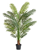 Товар Пальма Арека Хризалидокарпус New в-180 см (Sensitive Botanic) 2/2 добавлен в корзину