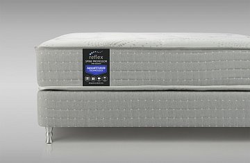 Reflex Spine Professor H4