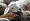 Magniflex Merino Merinos 3725921