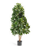 Товар Шеффлера натуральная зелёная 80 см 2/2 добавлен в корзину