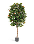 Товар Мандарин Оранж 110 см 2/2 добавлен в корзину